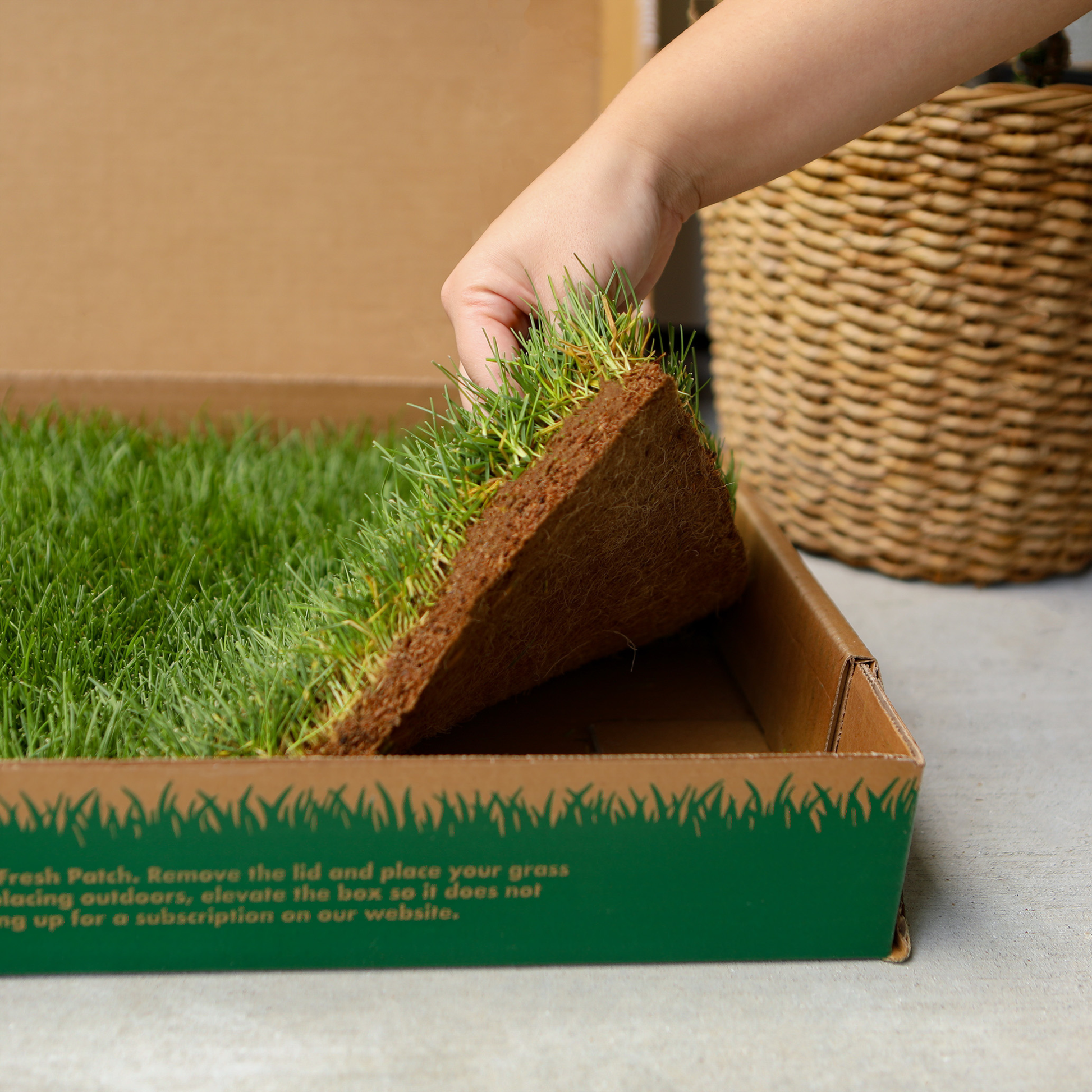 Person unboxing a roll of real grass from a cardboard box on a gray surface.